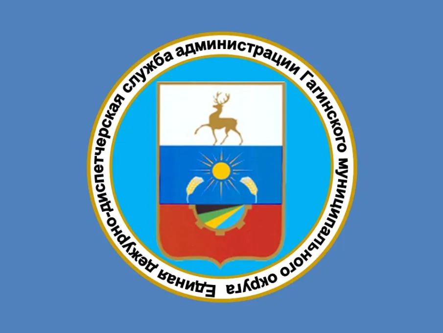 ОПЕРАТИВНЫЙ ЕЖЕДНЕВНЫЙ ПРОГНОЗ ЧС на территории Нижегородской области на 02 февраля 2026 г.